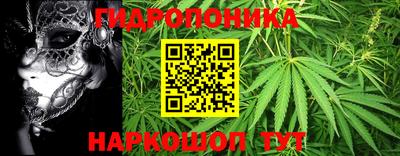 ГАЛЛЮЦИНОГЕННЫЕ ГРИБЫ Владимир
