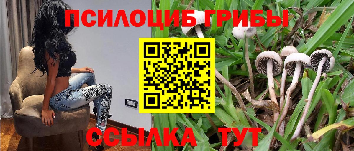 Галлюциногенные грибы мицелий Алатырь